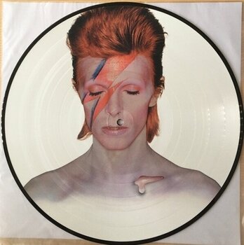 Vinyl Record David Bowie - Aladdin Sane (Picture Disc) (Reissue) (Remastered) (LP) - 2