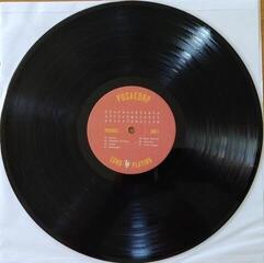 LP ploča Presidents Of The United States Of America - Presidents Of The United States Of America (Reissue) (Remastered) (LP) - 1