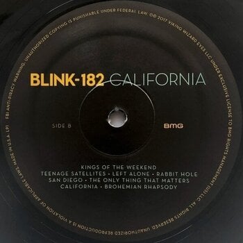 LP platňa Blink-182 - California (Deluxe Edition) (2 LP) - 3