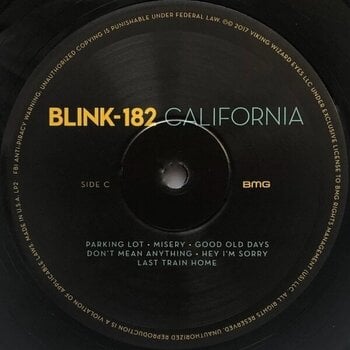 Płyta winylowa Blink-182 - California (Deluxe Edition) (2 LP) - 4