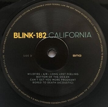 Schallplatte Blink-182 - California (Deluxe Edition) (2 LP) - 5