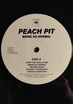 Vinylskiva Peach Pit - Being So Normal (Reissue) (LP) - 2