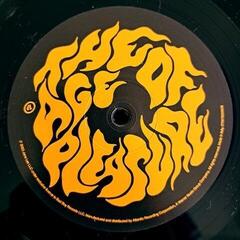 Disco in vinile Janelle Monae - Age Of Pleasure (LP) - 1