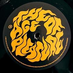 Disco in vinile Janelle Monae - Age Of Pleasure (LP) - 2