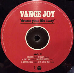 Vinylplade Vance Joy - Dream Your Life Away (Reissue) (LP) - 2