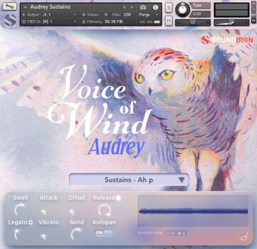 Zvuková knihovna pro sampler Soundiron Voice of Wind: Audrey (Digitální produkt) - 2