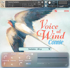 Библиотека със звукови ефекти Soundiron Voice of Wind: Connie (Дигитален продукт) - 1