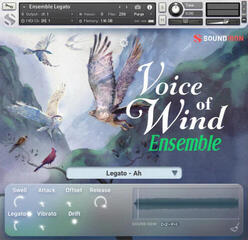Библиотека със звукови ефекти Soundiron Voices of Wind Collection (Дигитален продукт) - 1