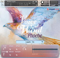 Библиотека със звукови ефекти Soundiron Voices of Wind Collection (Дигитален продукт) - 3