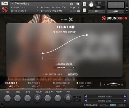 Sound Library für Sampler Soundiron Twine Bass (Digitales Produkt) - 4