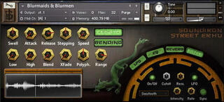 Библиотека със звукови ефекти Soundiron Street Erhu (Дигитален продукт) - 2