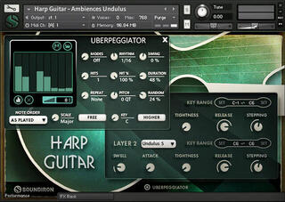 Bibliotecă de sunet pentru samplere Soundiron Brad Hoyt's Harp Guitar (Produs digital) - 4