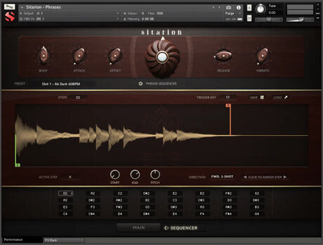 Geluidsbibliotheek voor sampler Soundiron Sitarion (Digitaal product) - 3