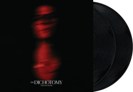 Vinylplade David Kushner - The Dichotomy (2 LP) - 2