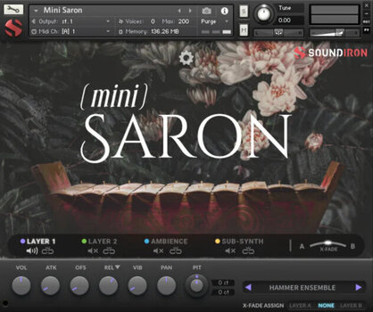 Zvuková knihovna pro sampler Soundiron Mini Saron (Digitální produkt) - 2