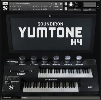 Bibliothèques de sons pour sampler Soundiron Yumtone H4 (Produit numérique) - 2