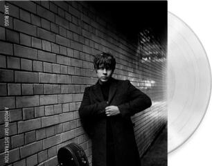 LP ploča Jake Bugg - A Modern Day Distraction (Limited Edition) (Crystal Clear Coloured) (LP) - 1