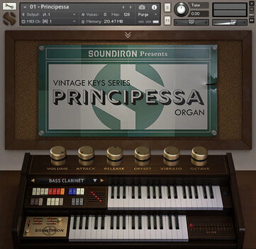 Geluidsbibliotheek voor sampler Soundiron Principessa (Digitaal product) - 2