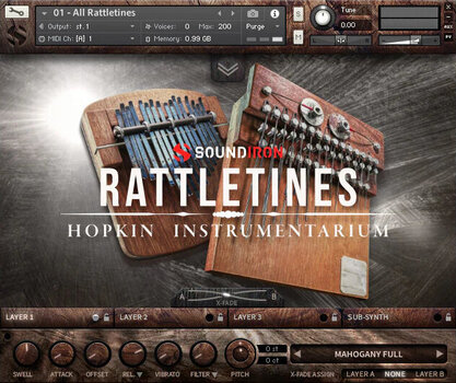 Biblioteka lub sampel Soundiron Hopkin Instrumentarium: Rattletines (Produkt cyfrowy) - 2