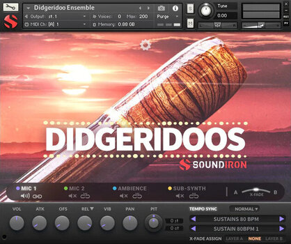 Sound Library für Sampler Soundiron Didgeridoos (Digitales Produkt) - 2