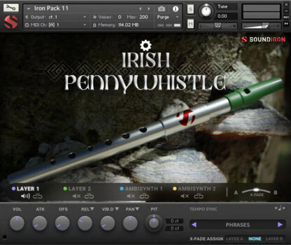 Audio datoteka za sampler Soundiron Iron Pack 11 - Irish Penny Whistle (Digitalni proizvod) - 2