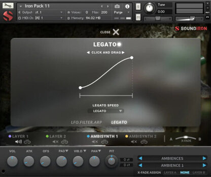 Audio datoteka za sampler Soundiron Iron Pack 11 - Irish Penny Whistle (Digitalni proizvod) - 5