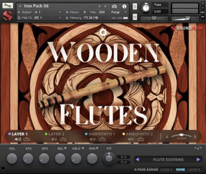 Sample and Sound Library Soundiron Iron Pack 6 - Wooden Flutes (Digital product) - 2