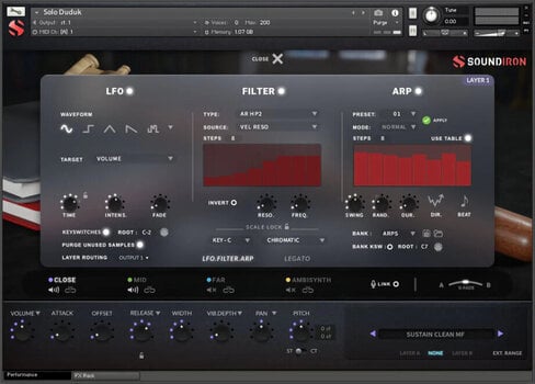 Geluidsbibliotheek voor sampler Soundiron Solo Duduk (Digitaal product) - 3