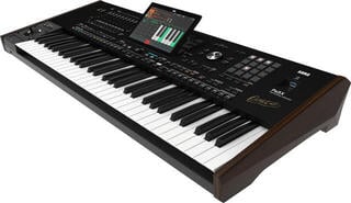 Professional Keyboard Korg Pa5X-61 Oriental Professional Keyboard - 1