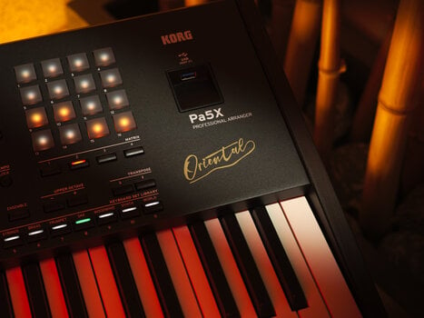 Arbetsstation Korg Pa5X-61 Oriental Arbetsstation - 5