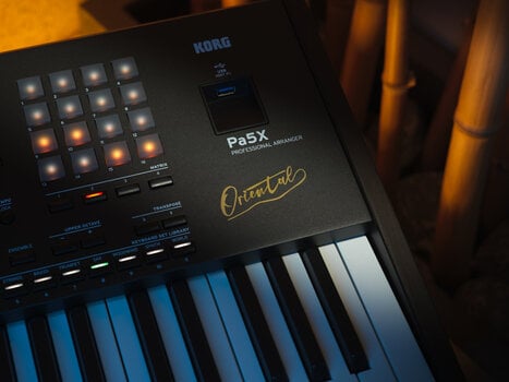 Arbetsstation Korg Pa5X-61 Oriental Arbetsstation - 7