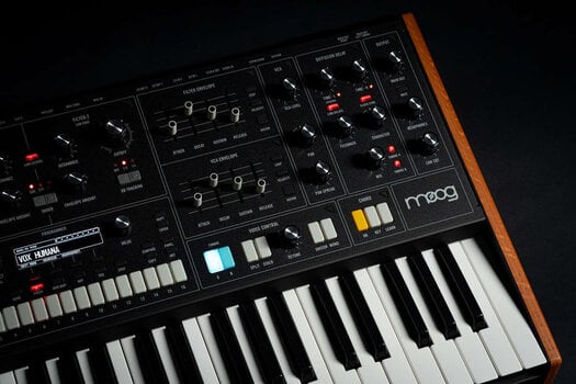 Syntetizátor MOOG Muse Syntetizátor - 12