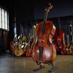 Studiový softwarový Plug-In efekt Mntra Instruments Orakle (Digitální produkt) - 3