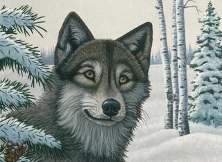 Pintura por números Royal & Langnickel Pintura por números Snow Wolf - 1
