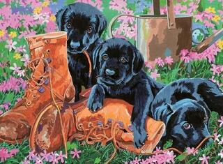 Pintura por números Royal & Langnickel Pintura por números Trouble In The Garden - 1