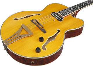 Semi-Acoustic Guitar Ibanez PM3C-NAL Natural Amber Semi-Acoustic Guitar - 5