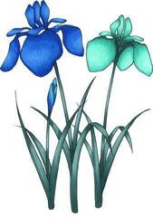 Viltstift Copic Sketch Inktpatroon Sea & Sky 6 stuks - 2