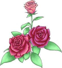 Viltstift Copic Sketch Inktpatroon Floral Favorites 1 6 stuks - 2