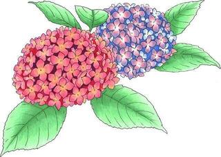 Felt-Tip Pen Copic Sketch Markers Floral Favorites 2 6 pcs - 2