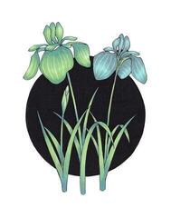 Viltstift Copic Ciao Inktpatroon Sea 6 stuks - 2