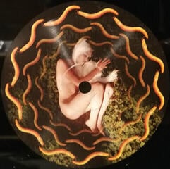 LP ploča A Perfect Circle - Thirteenth Step (Reissue) (2 LP) - 1