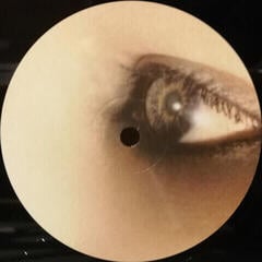 LP ploča A Perfect Circle - Thirteenth Step (Reissue) (2 LP) - 3