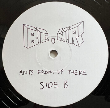 Disco in vinile Black Country, New Road - Ants From Up There (2 LP) - 3