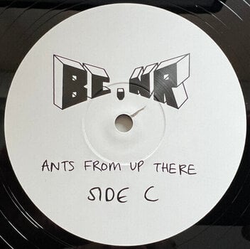 Vinylplade Black Country, New Road - Ants From Up There (2 LP) - 4