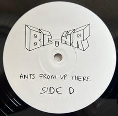 Disco de vinil Black Country, New Road - Ants From Up There (2 LP) - 5