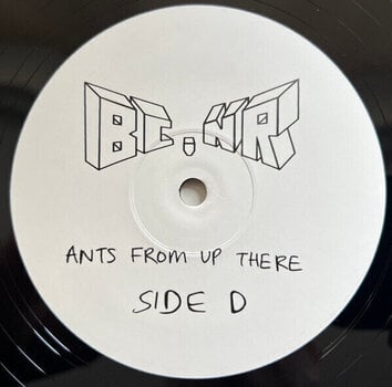 Disco de vinil Black Country, New Road - Ants From Up There (2 LP) - 5