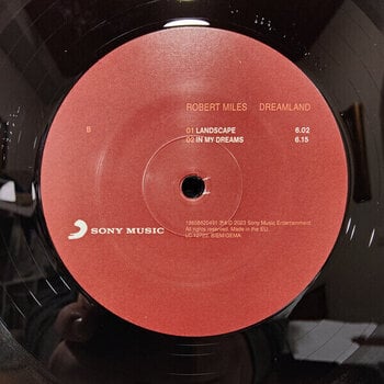 Hanglemez Robert Miles - Dreamland (Reissue) (2 LP) - 3