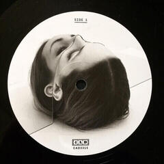 Hanglemez The National - Trouble Will Find Me (2 LP) - 2