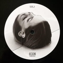 Hanglemez The National - Trouble Will Find Me (2 LP) - 3