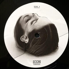 Hanglemez The National - Trouble Will Find Me (2 LP) - 4